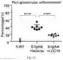 Fig. 09 - PHARMACEUTICAL COMPOSITION AND USE THEREOF FOR RELIEVING PROGRESSION OF CHRONIC KIDNEY DISEASE OR PREVENTING THEREOF