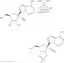 Fig. 197 - METHODS FOR THE PREPARATION OF RIBOSIDES