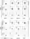 Fig. 08 - DNMT3A KNOCKOUT CAR T CELLS FOR ADOPTIVE IMMUNOTHERAPY