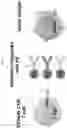 Fig. 02 - UNIVERSAL CHIMERIC ANTIGEN RECEPTORS AND METHODS FOR MAKING AND USING THEM
