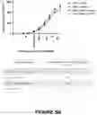 Fig. 09 - Cancer therapy