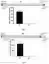 Fig. 09 - EPSTEIN-BARR VIRUS NUCLEIC ACID CONSTRUCTS AND VACCINES MADE THEREFROM, AND METHODS OF USING SAME