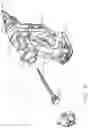 Fig. 09 - Gas spring fastener driving tool with removable end cap for performing maintenance or service