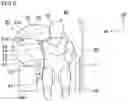 Fig. 10 - Side airbag device