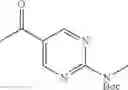 Fig. 197 - CGAS antagonist compounds