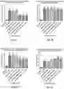 Fig. 02 - A COMBINATION OF PLASMA IMMUNOGLOBULIN AND ANTIGEN-SPECIFIC IMMUNOGLOBULIN FOR THE MODIFICATION OF THE IMMUNE SYSTEM AND THE TREATMENT OR PREVENTION OF AUTOIMMUNE DISEASES