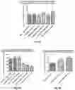 Fig. 06 - A COMBINATION OF PLASMA IMMUNOGLOBULIN AND ANTIGEN-SPECIFIC IMMUNOGLOBULIN FOR THE MODIFICATION OF THE IMMUNE SYSTEM AND THE TREATMENT OR PREVENTION OF AUTOIMMUNE DISEASES