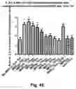 Fig. 09 - A COMBINATION OF PLASMA IMMUNOGLOBULIN AND ANTIGEN-SPECIFIC IMMUNOGLOBULIN FOR THE MODIFICATION OF THE IMMUNE SYSTEM AND THE TREATMENT OR PREVENTION OF AUTOIMMUNE DISEASES