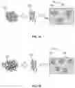 Fig. 02 - PROCESS FOR HYDROPHOBIC MODIFICATION OF NANOCELLULOSE DURING MANUFACTURING