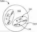 Fig. 01 - PHOSPHONIUM-CONTAINING POLYURETHANE COMPOSITIONS