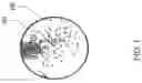 Fig. 02 - Sealing article comprising metal coating, method of making and method of using the same