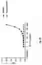 Fig. 07 - COMPOSITIONS AND METHODS FOR AN IL-17 TARGET ENGAGEMENT ASSAY WITH SMALL MOLECULE MODULATORS