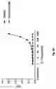 Fig. 08 - COMPOSITIONS AND METHODS FOR AN IL-17 TARGET ENGAGEMENT ASSAY WITH SMALL MOLECULE MODULATORS
