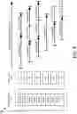 Fig. 06 - METHODS AND APPARATUS FOR WAVE SLOT RETIREMENT PROCEDURES