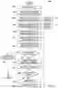 Fig. 04 - Systems and methods of hybrid interfaces utilizing conversational virtual assistants