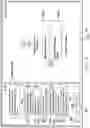 Fig. 16 - Systems and methods of hybrid interfaces utilizing conversational virtual assistants