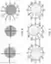Fig. 09 - Human embryo evaluation using AI/ML analysis of real-time frame speed video for predicting male-sex offspring