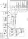 Fig. 02 - TOOL FOR LABELLING TRAINING IMAGES FOR A VEHICLE CHARACTERISTIC DETECTION MODEL