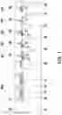 Fig. 02 - SEMICONDUCTOR DEVICE AND MANUFACTURING METHOD THEREOF