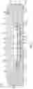 Fig. 08 - Sensor package structure