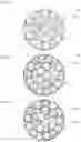 Fig. 02 - Positive electrode active material for lithium ion secondary battery, method for producing the same, and lithium ion secondary battery