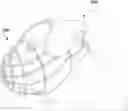 Fig. 01 - BASKET MUZZLE FOR DOGS AND CATS