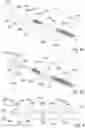 Fig. 05 - ORAL HYGIENE DEVICE