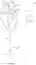 Fig. 29 - Coaptation enhancement implant, system, and method