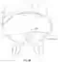 Fig. 35 - Coaptation enhancement implant, system, and method