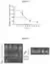 Fig. 09 - NANOPARTICLES CONTAINING CELLULAR MEMBRANE AND USES THEREOF