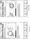 Fig. 53 - DEVICES METHODS AND SYSTEMS FOR WIRELESS CONTROL OF MEDICAL DEVICES