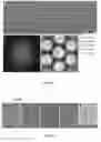 Fig. 08 - TWO-DIMENSIONAL MESOPOROUS SUPERLATTICES OF INORGANIC MATERIALS AND METHOD OF MAKING AND USING SAME