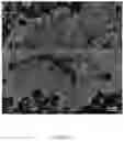 Fig. 11 - TWO-DIMENSIONAL MESOPOROUS SUPERLATTICES OF INORGANIC MATERIALS AND METHOD OF MAKING AND USING SAME
