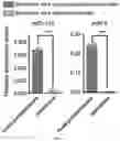 Fig. 02 - COMPOSITIONS AND METHODS FOR REPROGRAMMING AGE-RESTRICTED NON-NEURONAL CELLS