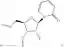 Fig. 331 - Modified Short Interfering Nucleic Acid (siNA) Molecules and Uses Thereof