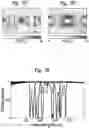 Fig. 07 - Metasurface device for detecting optical chirality