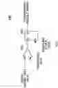 Fig. 10 - MEASUREMENT APPARATUS AND MEASUREMENT METHOD