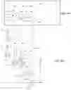 Fig. 04 - Eye gaze tracking calibration