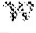 Fig. 02 - A METHOD FOR UNCERTAINTY ESTIMATION IN DEEP NEURAL NETWORKS