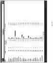 Fig. 68 - Dynamic generation of guided pages