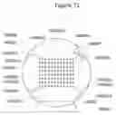 Fig. 72 - Collaborative light show authoring for tessellated geometries