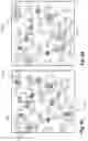 Fig. 06 - Determining interactions between cells based on force spectroscopy