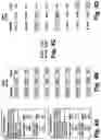 Fig. 05 - RANDOM SAMPLE ELECTIONS