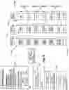 Fig. 10 - RANDOM SAMPLE ELECTIONS