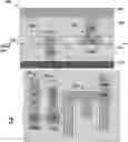 Fig. 01 - Interconnect structure with air-gaps