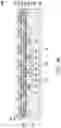 Fig. 09 - Package structure and method of fabrcating the same