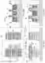 Fig. 83 - Transistor circuits including fringeless transistors and method of making the same