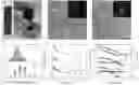 Fig. 01 - HIGH CAPACITY ELECTRODES ENABLED BY 2D MATERIALS IN A VISCOUS AQUEOUS INK