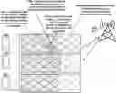 Fig. 01 - Model transfer within wireless networks for channel estimation