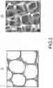 Fig. 04 - ELECTRONIC LABEL-FREE DNA AND GENOME SEQUENCING